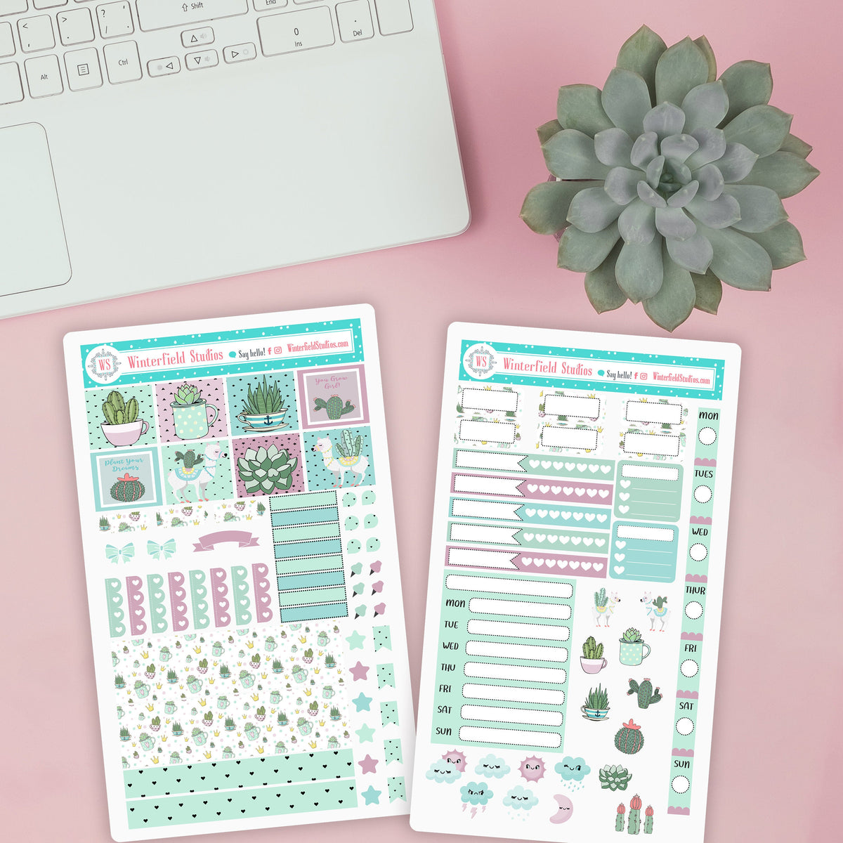 Simply Succulents Weekly Planner Sticker Kit - Cactus Stickers - Fits ...